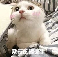 K8凯发(中国)天生赢家一触即发